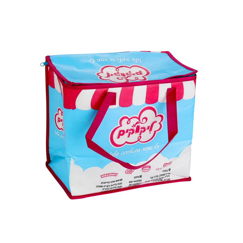 Cooler Bag