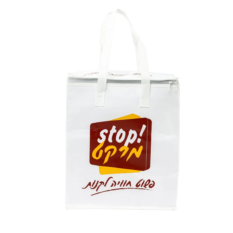 Cooler Bag 4