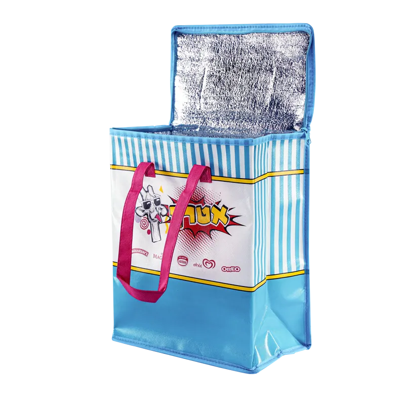 Cooler Bag 7
